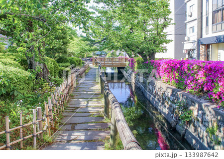 枝川緑道公園/岡山県岡山市北区大供1丁目 枝川緑道公園/岡山県岡山市北区大供1丁目 133987642