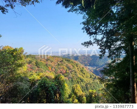 稲荷山山頂 稲荷山山頂 133987773