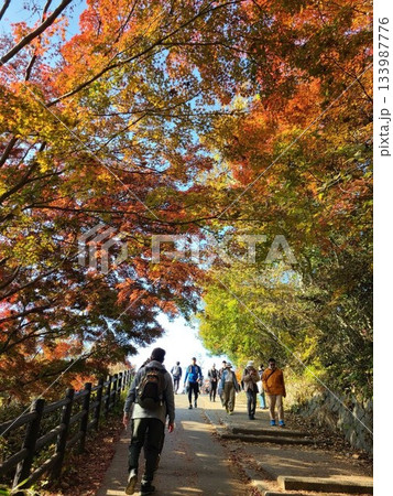高尾山山頂 高尾山山頂 133987776