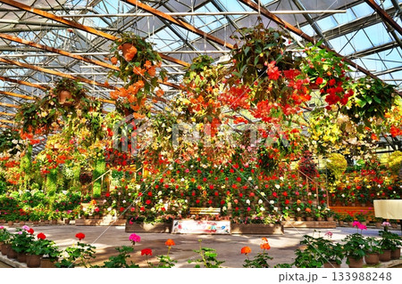 松江フォーゲルパーク　センターハウスの景観 133988248