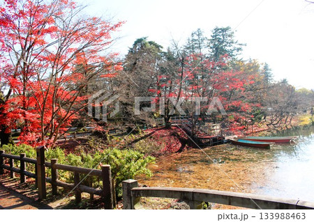 紅葉の弘前城　お堀　弘前市　青森県　　 133988463