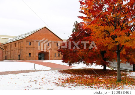 雪と紅葉の赤レンガ倉庫 元酒造工場 弘前市 青森県 雪と紅葉の赤レンガ倉庫 元酒造工場 弘前市 青森県 133988465