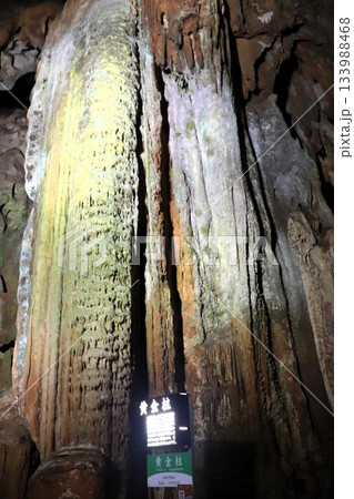 秋芳洞 特別天然記念物 黄金柱 山口県 美祢市 秋芳洞 特別天然記念物 黄金柱 山口県 美祢市 133988468