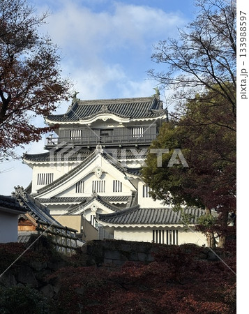 紅葉に囲まれた天守閣 133988597