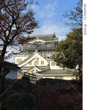 紅葉に囲まれた天守閣 紅葉に囲まれた天守閣 133988599
