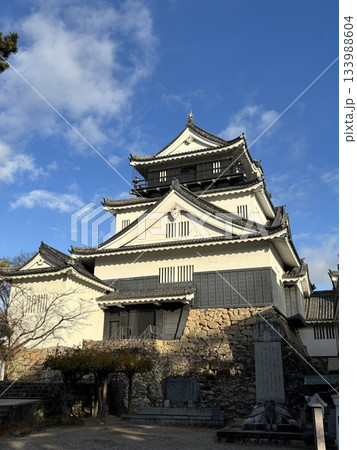 紅葉に囲まれた天守閣 133988604