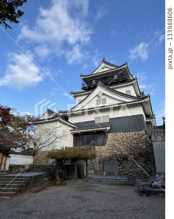 紅葉に囲まれた天守閣 133988606