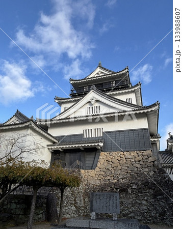 紅葉に囲まれた天守閣 紅葉に囲まれた天守閣 133988607