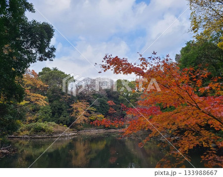 東京大学三四郎池 133988667