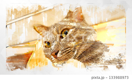 スケッチ風 猫 ネコ ねこ キジトラ グレー 雌 メス 雌ねこ 雌ネコ 元気 かわいい 癒し 133988973