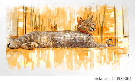 スケッチ風 猫 ネコ ねこ キジトラ グレー 雌 メス 雌ねこ 雌ネコ 元気 かわいい 癒し 133989064