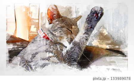 スケッチ風 猫 ネコ ねこ キジトラ グレー 雌 メス 雌ねこ 雌ネコ 元気 かわいい 癒し 133989078