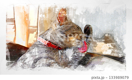 スケッチ風 猫 ネコ ねこ キジトラ グレー 雌 メス 雌ねこ 雌ネコ 元気 かわいい 癒し スケッチ風 猫 ネコ ねこ キジトラ グレー 雌 メス 雌ねこ 雌ネコ 元気 かわいい 癒し 133989079