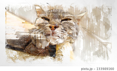スケッチ風 猫 ネコ ねこ キジトラ グレー 雌 メス 雌ねこ 雌ネコ 元気 かわいい 癒し 133989160