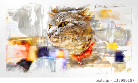 スケッチ風 猫 ネコ ねこ キジトラ グレー 雌 メス 雌ねこ 雌ネコ 元気 かわいい 癒し スケッチ風 猫 ネコ ねこ キジトラ グレー 雌 メス 雌ねこ 雌ネコ 元気 かわいい 癒し 133989187