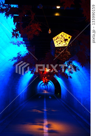 袋田の滝の紅葉 133990159