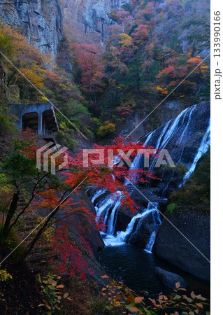 袋田の滝の紅葉 袋田の滝の紅葉 133990166