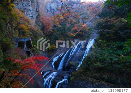 袋田の滝の紅葉 133990177