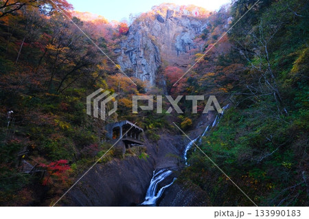 袋田の滝の紅葉 袋田の滝の紅葉 133990183
