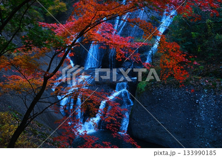 袋田の滝の紅葉 袋田の滝の紅葉 133990185