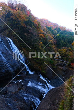 袋田の滝の紅葉 袋田の滝の紅葉 133990200