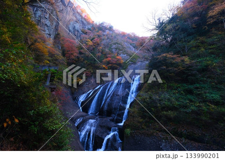 袋田の滝の紅葉 133990201