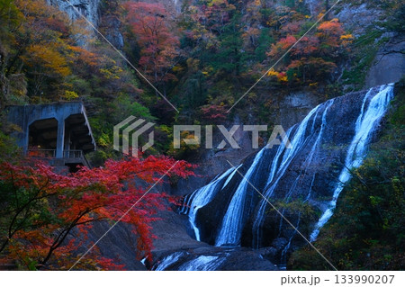 袋田の滝の紅葉 133990207