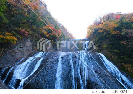 袋田の滝の紅葉 133990245