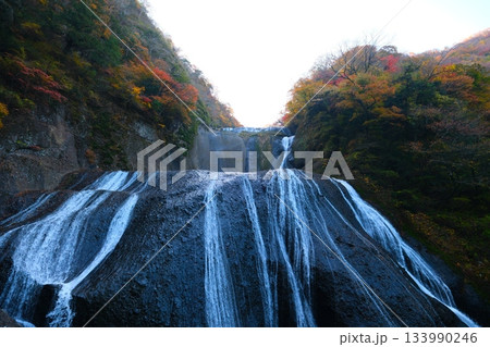 袋田の滝の紅葉 袋田の滝の紅葉 133990246