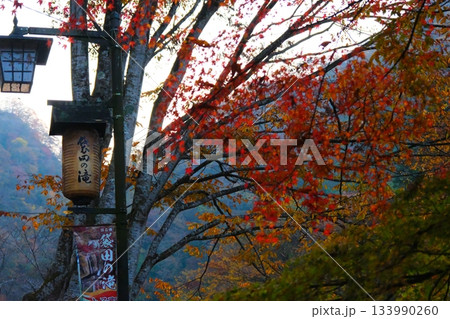 袋田の滝の紅葉 133990260