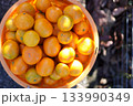 みかん狩り 133990349