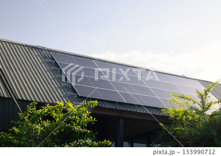 Eco House With Solar Roof 133990712