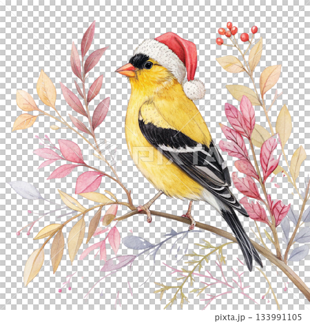 bird perched on soft watercolor botanical branches vibrant blue and cream feathers, wearing a tiny Santa hat bird perched on soft watercolor botanical branches vibrant blue and cream feathers, wearing a tiny Santa hat 133991105