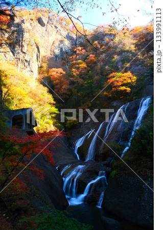 袋田の滝の紅葉 133991113