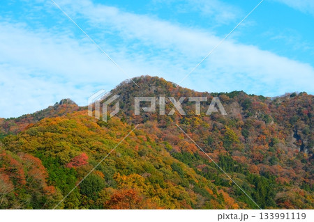 袋田の滝の紅葉 133991119