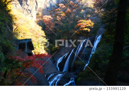 袋田の滝の紅葉 袋田の滝の紅葉 133991120