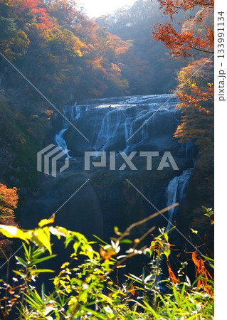 袋田の滝の紅葉 133991134