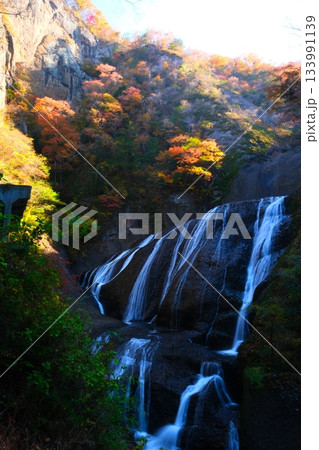 袋田の滝の紅葉 133991139