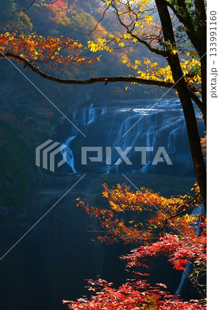 袋田の滝の紅葉 133991160