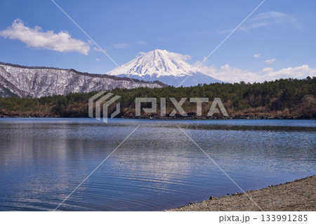 山梨県　早春の富士山と西湖 133991285