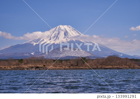 山梨県　早春の富士山と精進湖 133991291