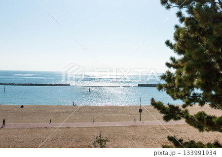 須磨シーワールドから眺める須磨海岸 133991934