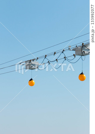 イルカショー用のボール 133992077