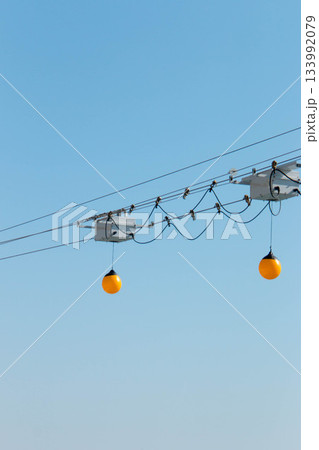 イルカショー用のボール 133992079