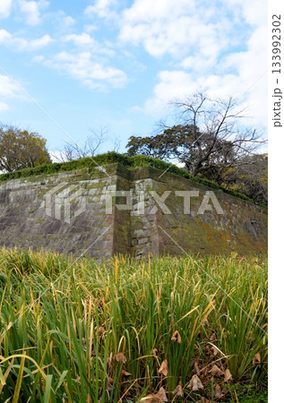 鹿児島城 隅欠の石垣 133992302