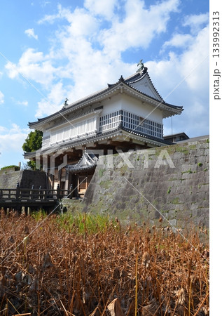 鹿児島城 御楼門 133992313