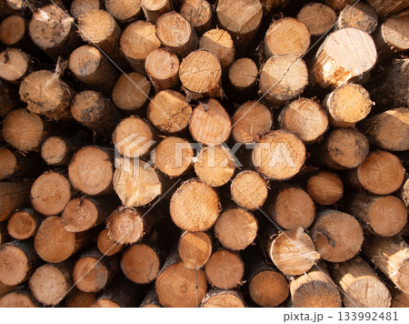 Logs are stacked closely together in a well-organized woodpile, displaying a variety of wood tones and textures under natural daylight conditions. 133992481