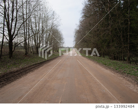 A tranquil dirt road stretches through a wooded area, flanked by bare trees, under a gray sky with soft clouds. The scenery evokes a sense of calmness and solitude. 133992484