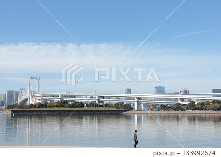お台場海浜公園からレインボーブリッジ・台場公園を望む（東京都港区） 133992674