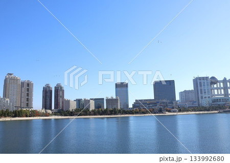 お台場海浜公園・台場公園から臨海副都心のビル群を望む（東京都港区） 133992680